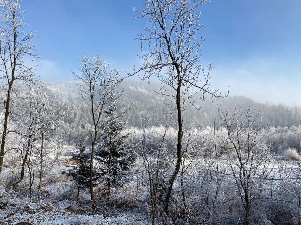Pokoje Goscinne Pod Jaworem - Obok Pieknego Szlaku Wzdluz Rzeki Bialka, 1Km Do Stokow Kotelnica Extérieur photo